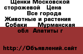 Щенки Московской сторожевой › Цена ­ 35 000 - Все города Животные и растения » Собаки   . Мурманская обл.,Апатиты г.